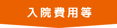 入院費用等