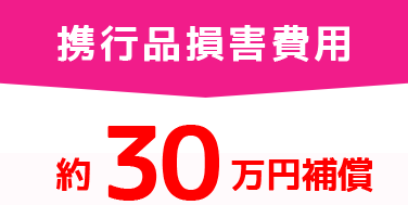 携行品損害費用